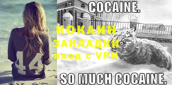 ECSTASY Абаза