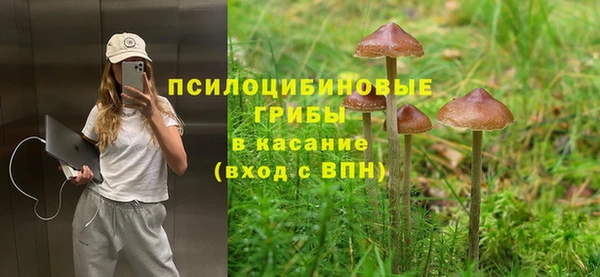 ECSTASY Абаза