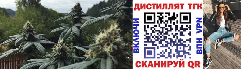 Дистиллят ТГК концентрат Майский