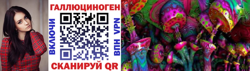 Псилоцибиновые грибы мицелий  Майский 